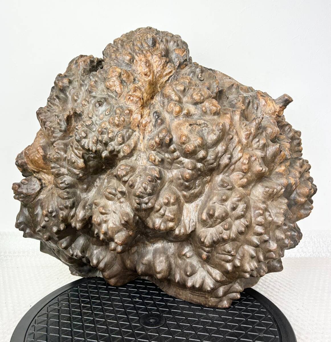 2025年最新】Yahoo!オークション -木 瘤の中古品・新品・未使用