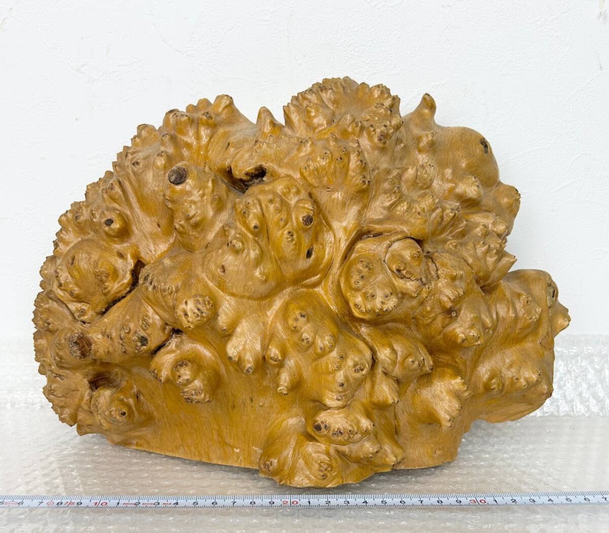 ②木の瘤　インテリア置物 木瘤・木の瘤・木のコブ・瘤 インテリア 鑑賞用｜Yahoo!フリマ（旧