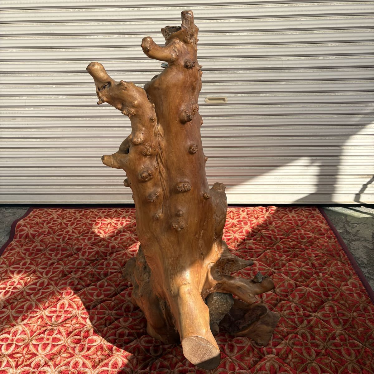 自然木花台オブジェ工芸品中古美品 楽天市場】送料無料 自然木 楠 花鉢 展示品 オブジェ H87cm 家具