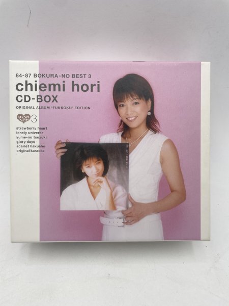 堀ちえみ　未使用 下敷き 2枚セット オフィシャル商品 B5 堀ちえみ 未使用 下敷き 2枚セット オフィシャル商品 B5