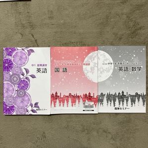 臨海セミナー教材 中1 夏期講習、冬期講習 2024