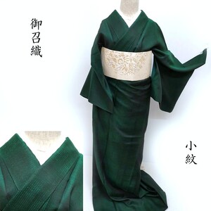 Club藤★御召織 小紋 玉蟲御召 竹縞文様 カラー裏付き カジュアル着物 御仕立上り(3455)