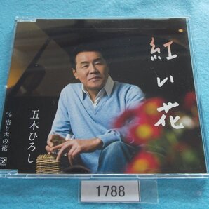 CD/五木ひろし/紅い花/いつきひろし/あかいはな/管1788
