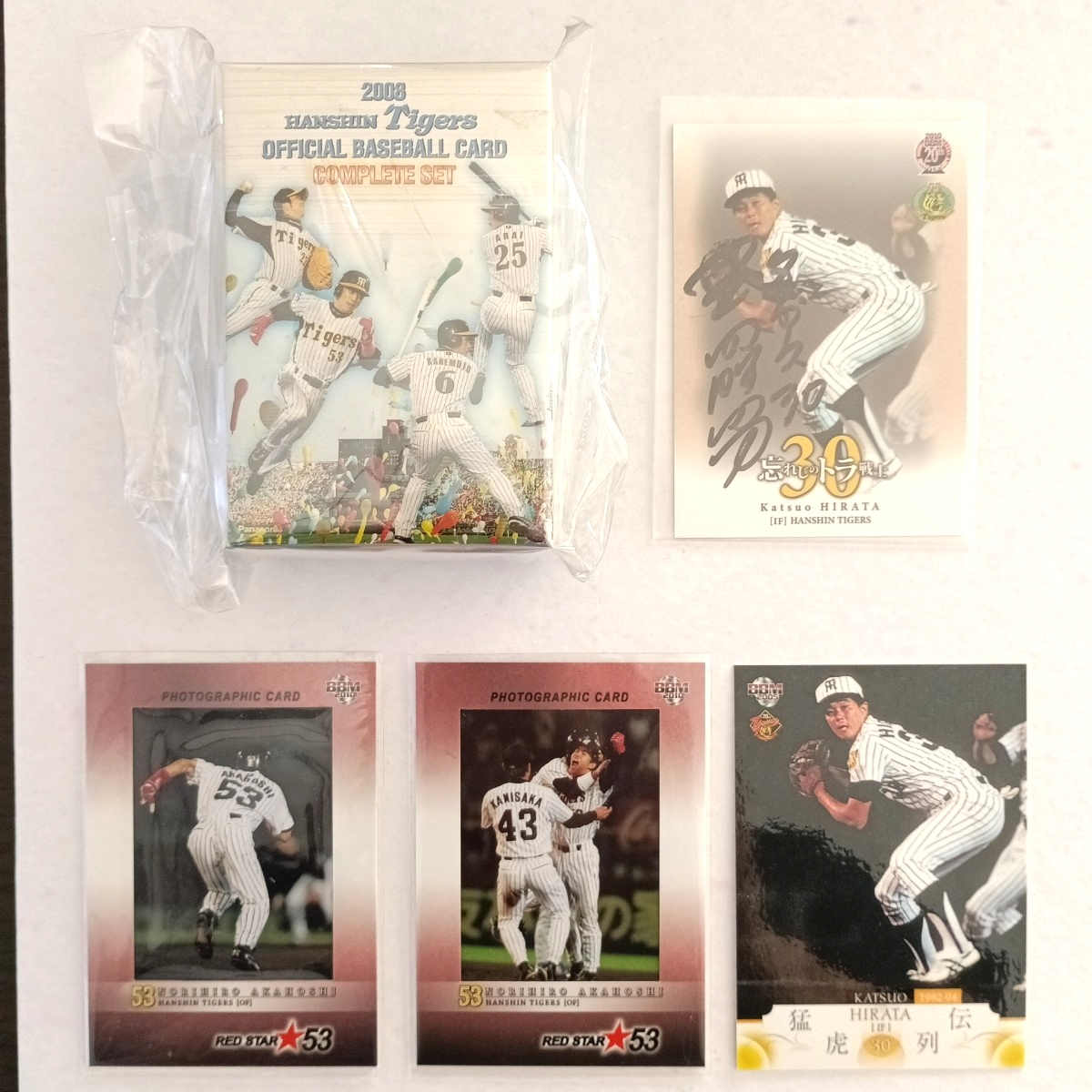 阪神タイガース赤星憲広　引退メモリアルフォトパネル 阪神タイガース赤星憲広引退メモリアルフォトパネル 2025年最新