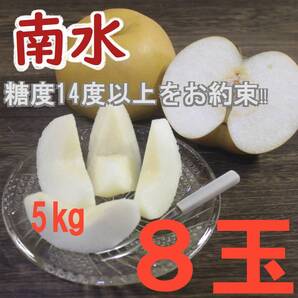 【送料込み】梨 ”南水” 糖度14度以上 〇秀 5kg入数8玉 大玉 長野県みなみ信州まつかわ町産地直送 にっこり梨 新興梨 秋月 王秋 豊水 p1