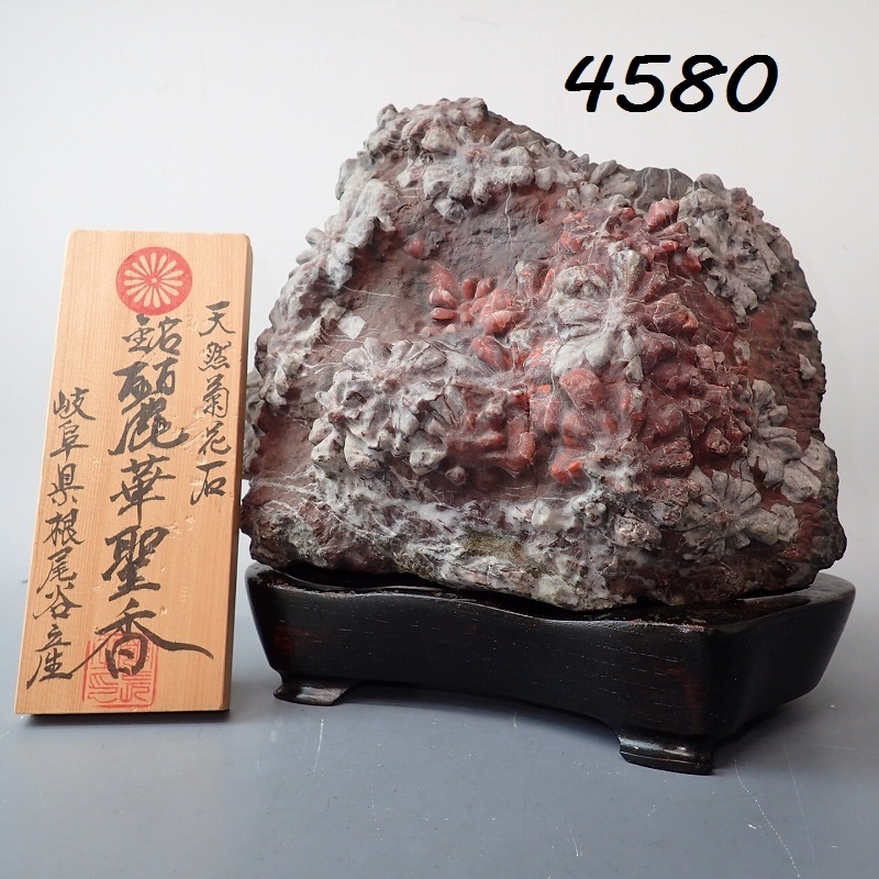 Yahoo!オークション -「菊花石 根尾谷」の落札相場・落札価格