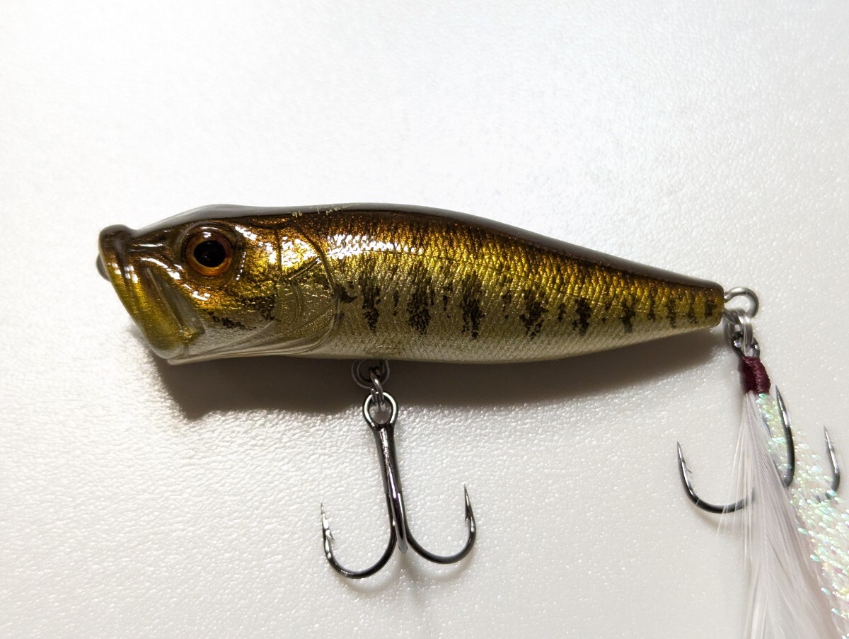 2025年最新】Pop-X(ポップエックス) 人気のメガバス(Megabass