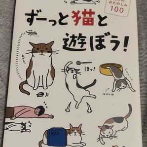 送料無料 美品 ずーっと猫と遊ぼう! 猫とのおたのしみ100 ネコ ねこ