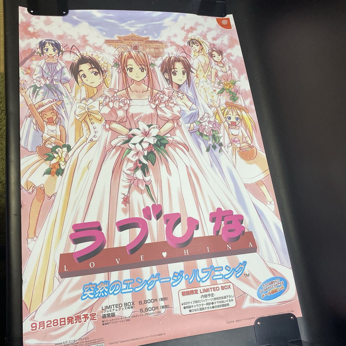 2025年最新】Yahoo!オークション -ラブひな ポスターの中古品