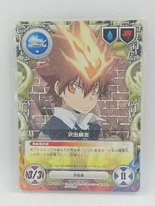 【送料無料】sp01097◆家庭教師ヒットマンREBORN! DSソフト -フェイトオブヒート 炎の運命- キャラクターカードゲーム 特別Ver./未開封品