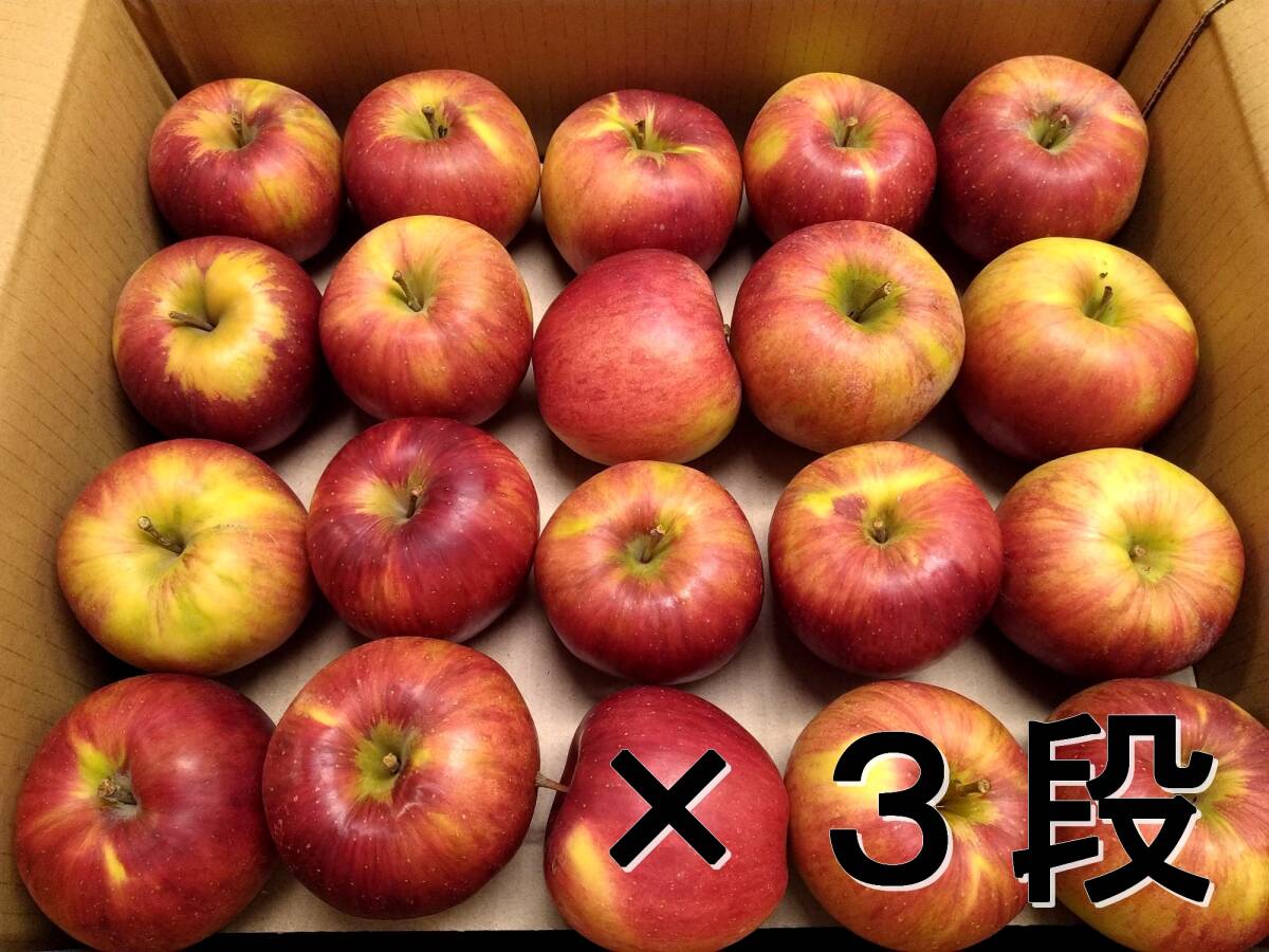 2025年最新】Yahoo!オークション - リンゴ(果物 野菜、果物)の