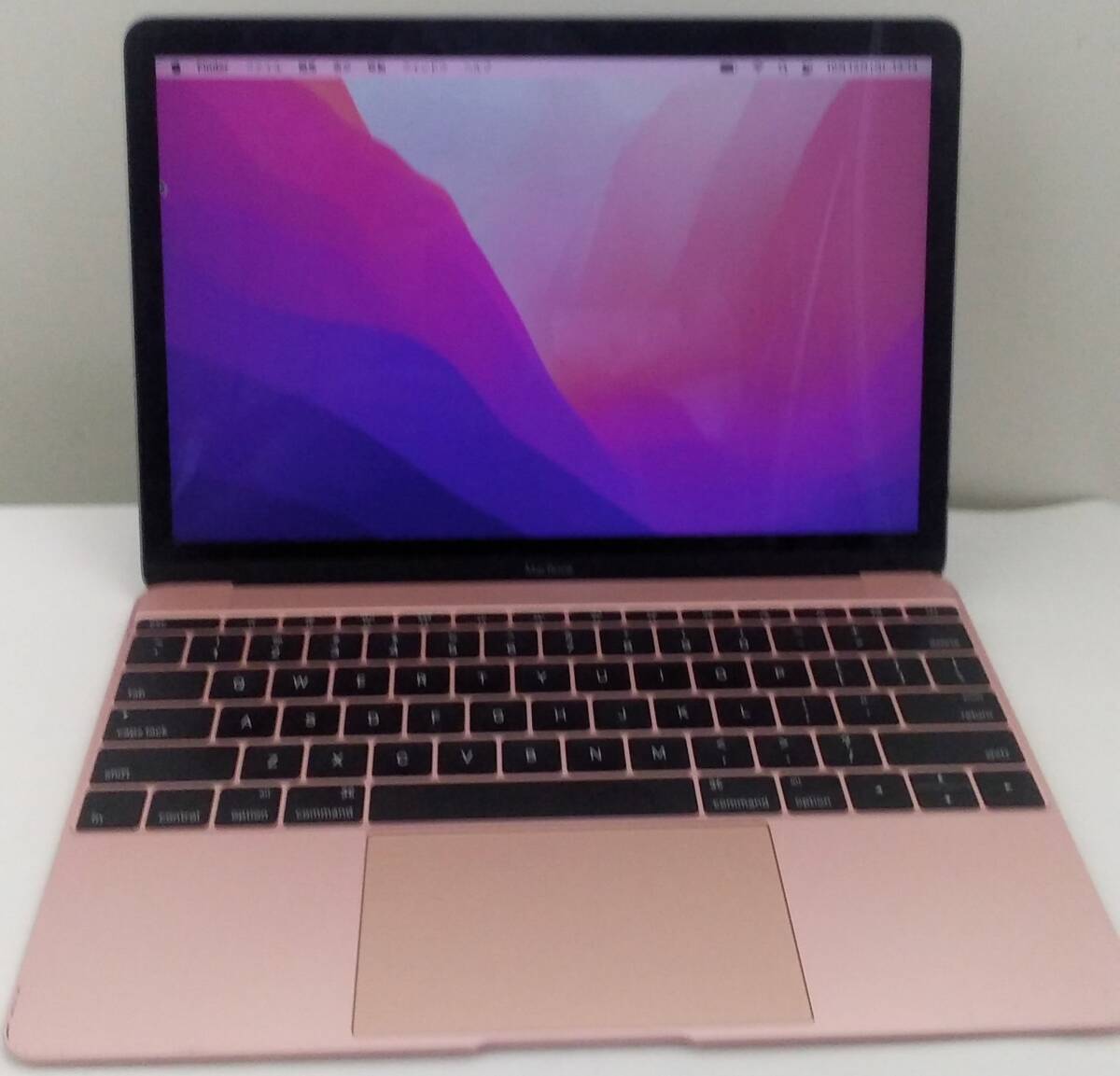 MacBook (12-inch, Early 2016)　ジャンク、部品取り 2025年最新】Yahoo!オークション -macbook 12 ジャンクの中古品