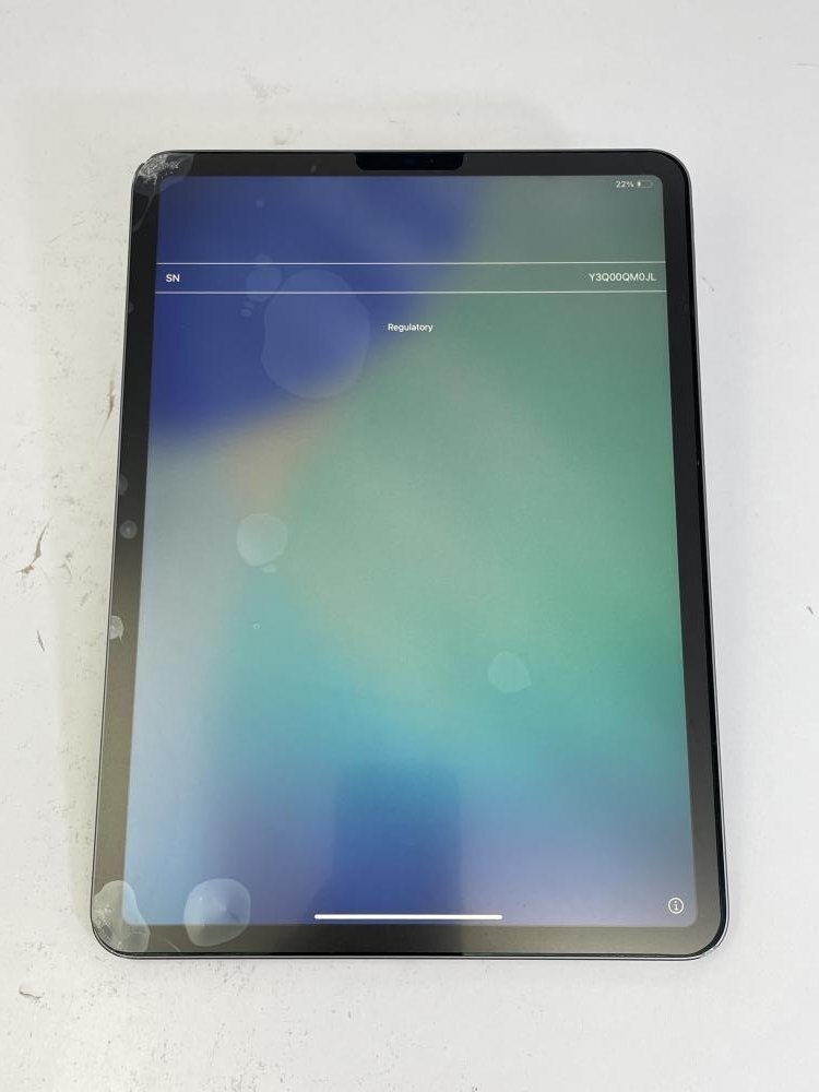 【ジャンク品】iPadPro 11インチ Wi-Fi 128GB スペースグレイ ジャンク品】iPadPro 11インチ Wi-Fi 128GB スペースグレイ 第4世代