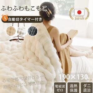 AUYORM 電気毛布 190×130 自動切タイマー付き 新品未使用 送料無料