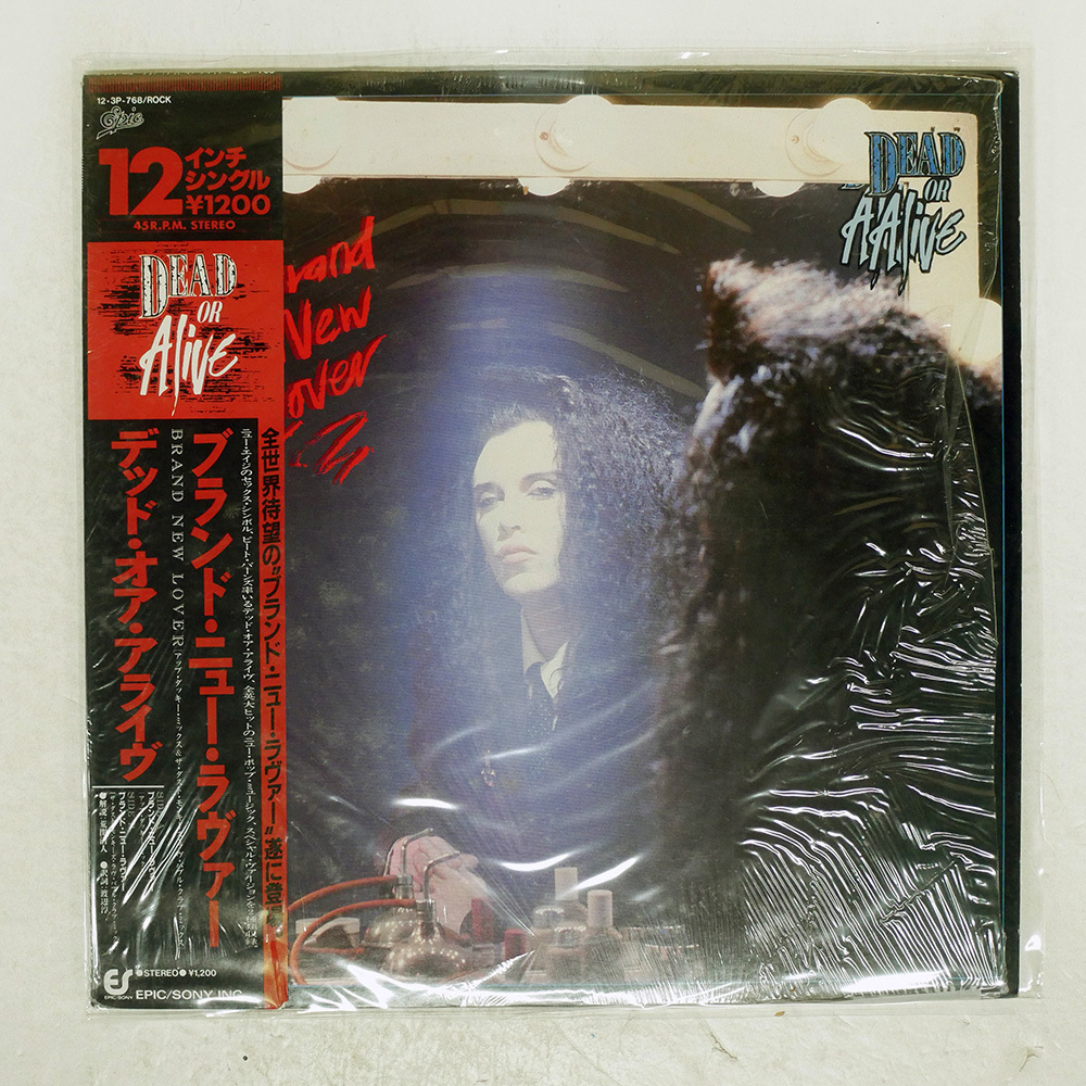 レア！デッドオアアライブ 1990年 ツアーパンフレット　送料無料 レア！デッドオアアライブ 1990年 ツアーパンフレット 送料無料