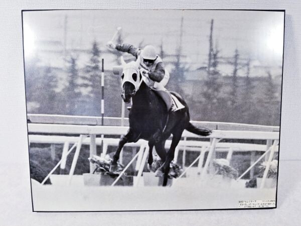 2025年最新】Yahoo!オークション -競馬 パネルの中古品・新品