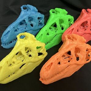 ティラノサウルス 頭骨レプリカセット