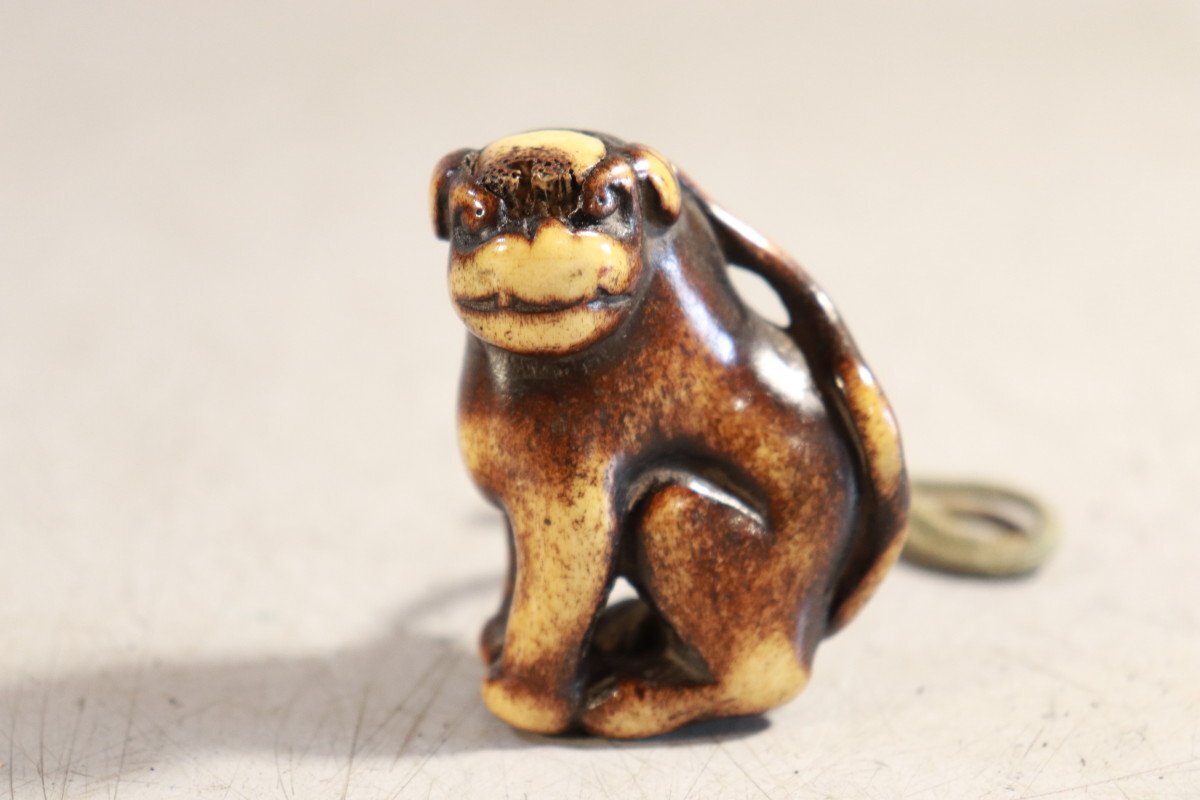 Yahoo!オークション -「根付 鹿角」(美術品) の落札相場・落札価格