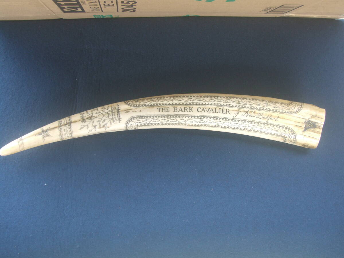 Yahoo!オークション -「セイウチ牙」の落札相場・落札価格