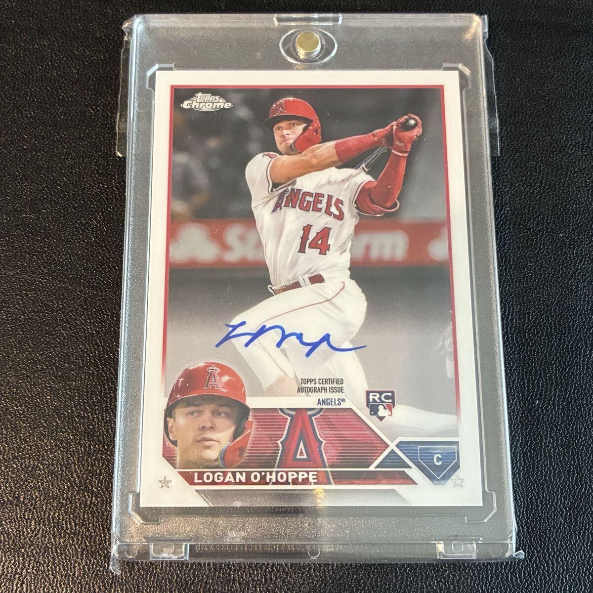 Yahoo!オークション -「logan o'hoppe」の落札相場・落札価格