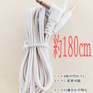 追加購入コード2極*1本 2㎜プラグ