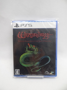 ☆6446 未開封品 Wizardry: Proving Grounds of the Mad Overlord -PS5