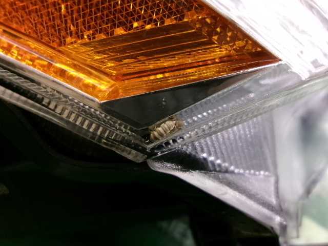 越谷　13-73329　ジャンク　50系フーガ　前期　純正ヘッドライト　右側　　越谷_サムネイル画像8