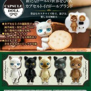 【A-29】ガチャガチャ CAPSULE DOLL VOL.1 全5種セット カプセルドール ねこ ネコ 猫 フィギュア