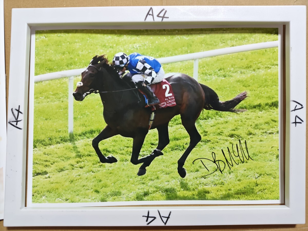 2025年最新】Yahoo!オークション -武豊 直筆サインの中古品