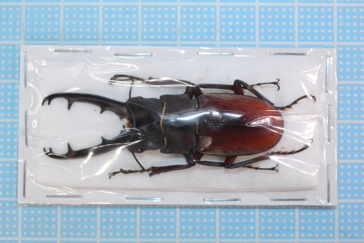 標本　まとめ売り JEPXスポット価格 on X: 