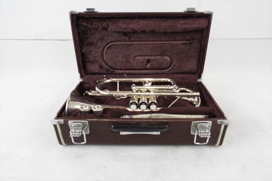 Yahoo!オークション -「ycr3330s」(コルネット) (管楽器)の落札