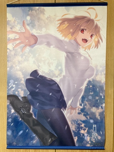 2025年最新】Yahoo!オークション -月姫(その他)の中古品・新品