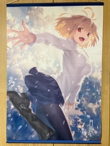 ★美品!「月姫 -A piece of blue glass moon-」「アルクェイド・ブリュンスタッド B2タペストリ- ソフマップ・アニメガ特典」/PS4 Switch