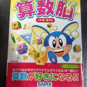 きらめき算数脳 小学2・3年生 (サピックスブックス) 進学教室サピックス小学部/著