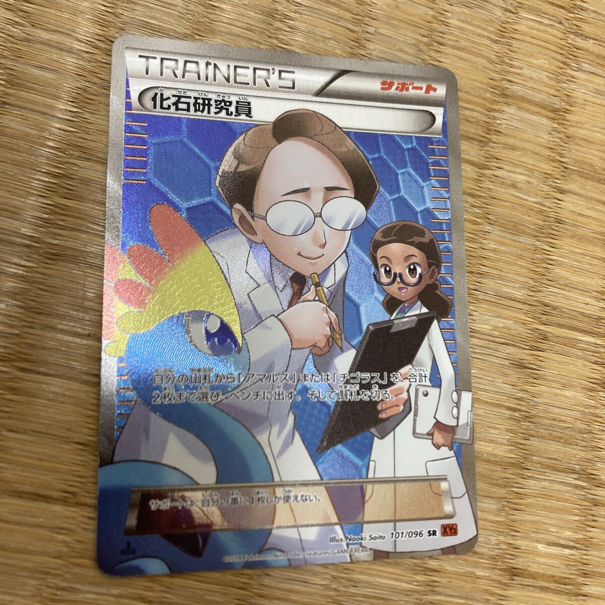 Yahoo!オークション -「化石研究員」の落札相場・落札価格