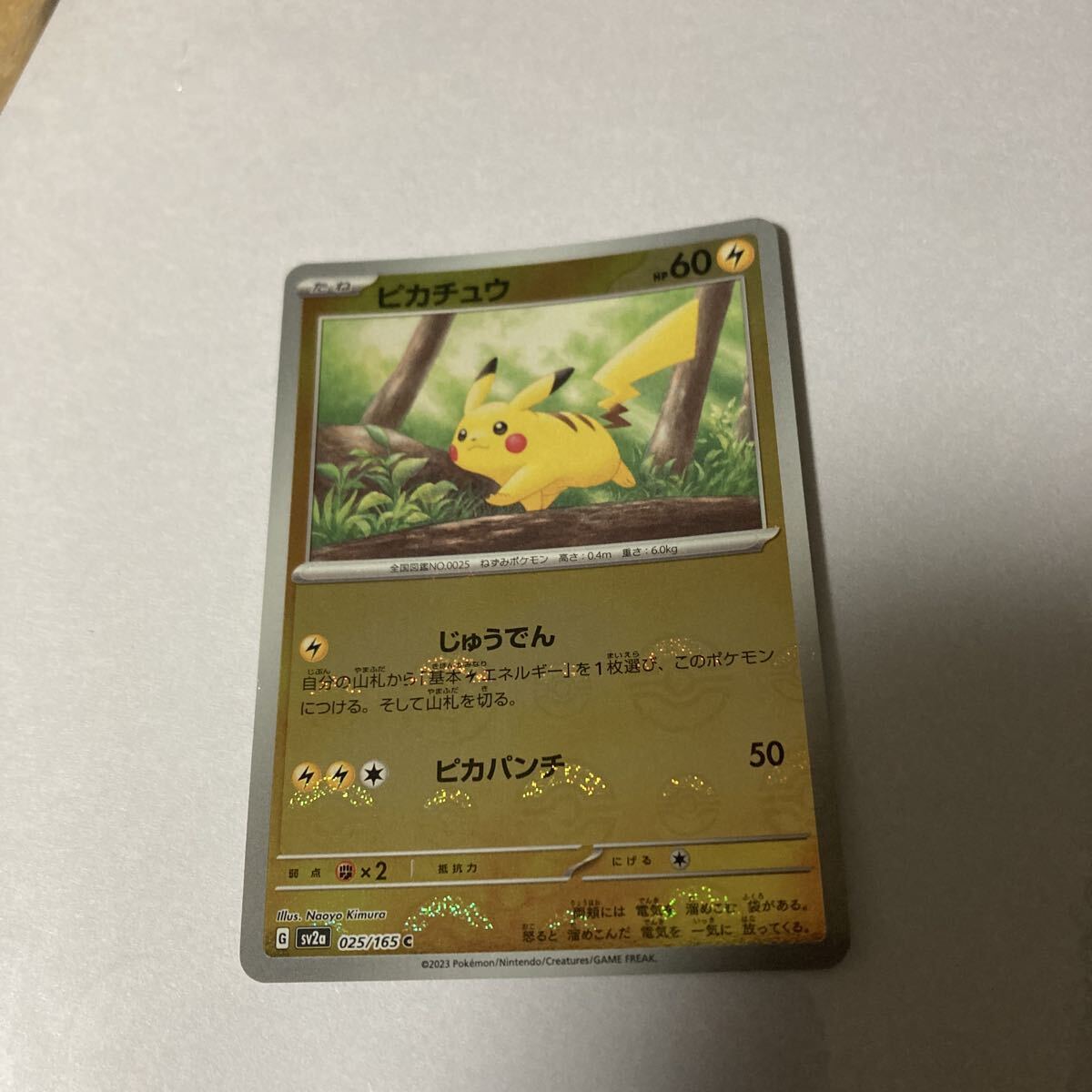 2025年最新】Yahoo!オークション -ピカチュウ モンスターボール