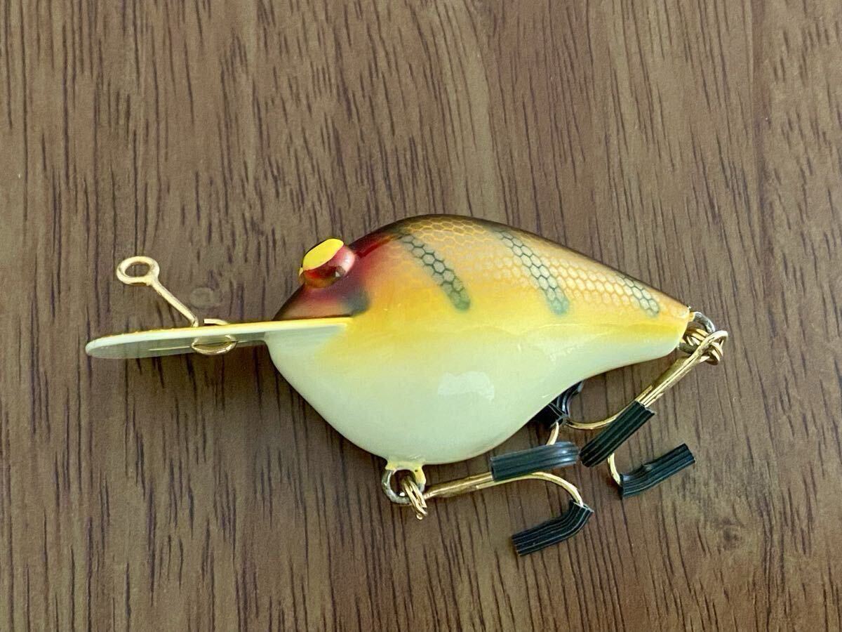 Balsa50ページ SAURUS | ザウルス