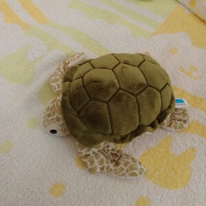沖縄美ら海水族館 ぬいぐるみ ウミガメ カメ 亀 水族館 アオウミガメ 約20cm Sサイズ