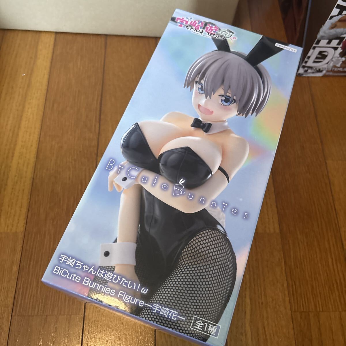 2025年最新】Yahoo!オークション -宇崎ちゃんは遊びたい!ω