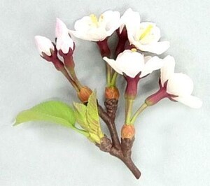 中古トレーディングフィギュア 27.ソメイヨシノ 「ネイチャーテクニカラー 日本のいきもの Vol.03」