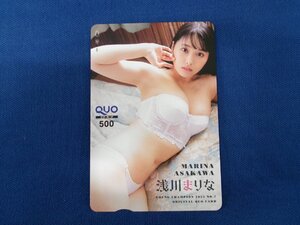 2-224*. река ...*QUO карта 500