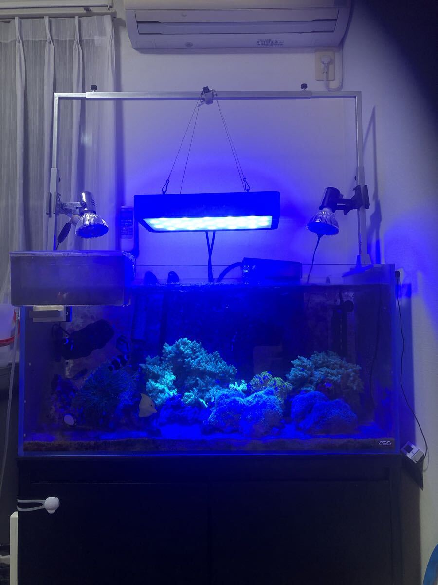 【引き取り限定】水槽ラック、水槽セット 使用期間5ヶ月 山崎実業 tower 水槽ラック タワー – ハウジー