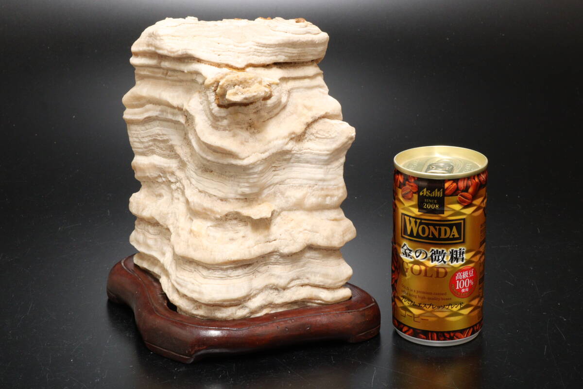 Yahoo!オークション -「観賞石」の落札相場・落札価格