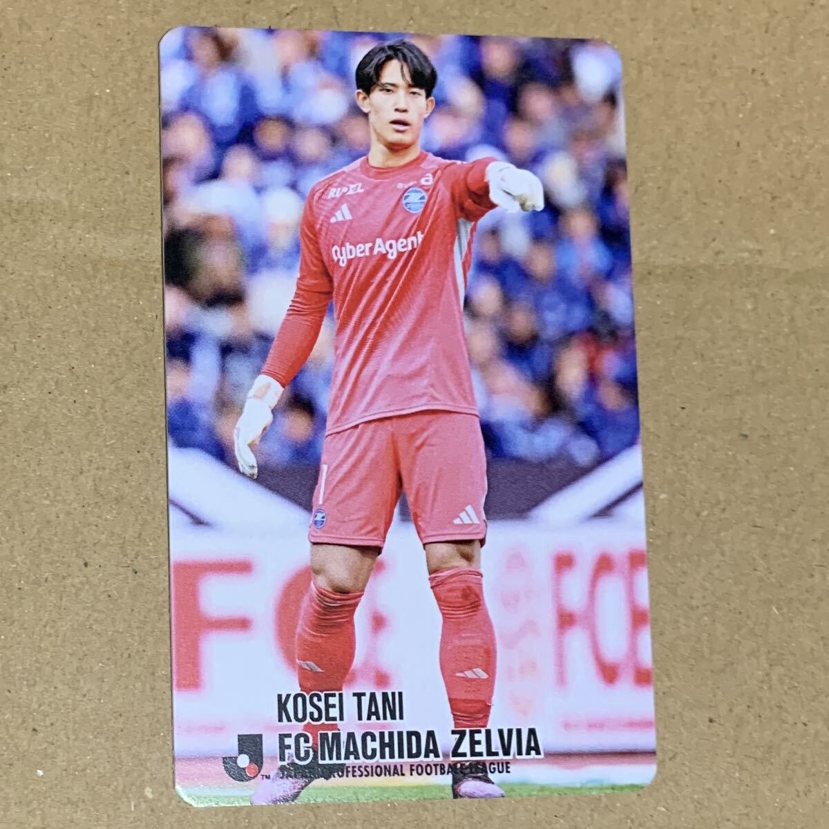 2025年最新】Yahoo!オークション -jリーグチップスカードの中古品