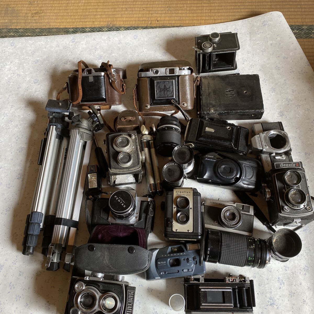 【ジャンク】フィルムカメラ　おまとめ　セット 2025年最新】ジャンク (まとめ 大量 セット) - フィルムカメラの