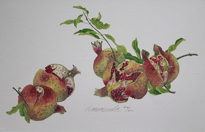 Yahoo!オークション -「玉村豊男」(美術品) の落札相場・落札価格