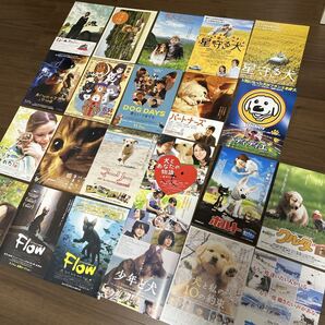 犬と猫の映画チラシ 22種22枚セット