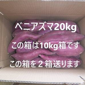 ベニアズマ さつまいも20kg(10kg二箱 千葉県産農家直送 規格外品 (正味22kg以上入れます)No3