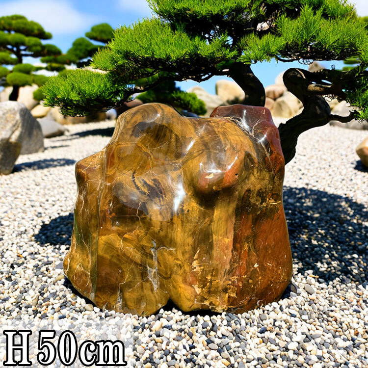 2025年最新】Yahoo!オークション -庭石 赤石の中古品・新品・未使用品一覧