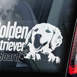 ◆送料無料【ゴールデンレトリバー】外張り カーステッカー デカール185×100mm*外貼り カー ステッカー 車 シール ゴールデン 犬 D5 3727